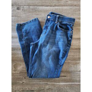 Lee Womens Regular Fit‎ Straight Leg Mid Rise Jeans Size 14P
